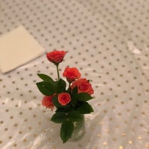 Meet your Posher, Adriana